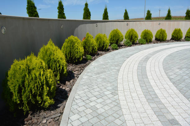 Reasons to Select Us for Your Driveway Paving Requirements in Montgomeryville, PA